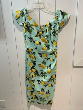 Unknown Brand Mint Lemon-Print Midi Dress with V-Neck